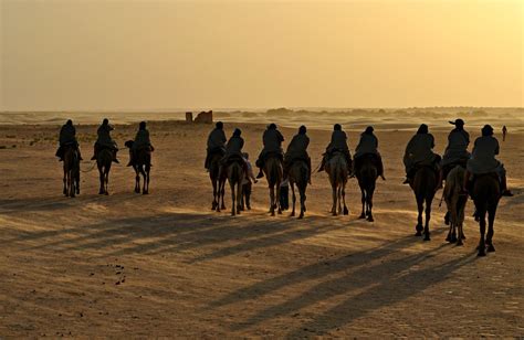 Sahara Camel Trekking in Tunisia 2024 - Rove.me