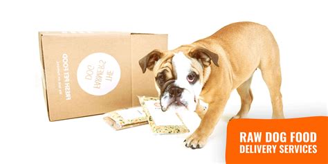 Raw Dog Food Delivery – Services and Cost — Breeding Business