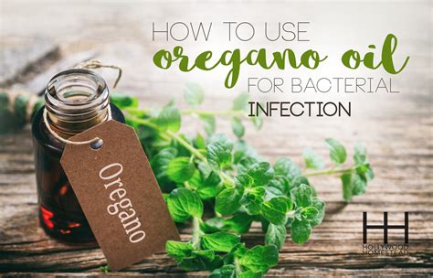 How to Use Oil of Oregano for Bacterial Infections - Hollywood Homestead