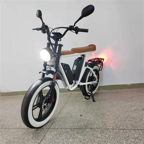 Dual Motor 2000W Double Battery 44ah/52V Electric Bike Ebike - E Bike ...