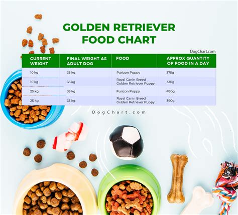 Golden Retriever Food Chart by Age | per Day Feeding