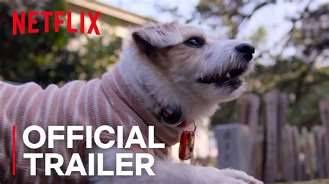 Dogs | Official Trailer [HD] | Netflix - YouTube