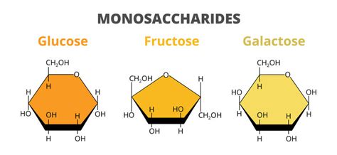 Monosaccharide Diagram