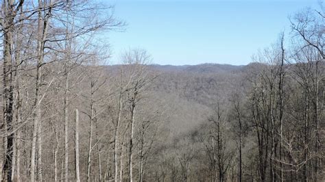 Lewis Wetzel WMA is a perfect place for hunting and fishing adventures - WVDNR