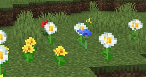 Growing Oxeye Daisies in Minecraft