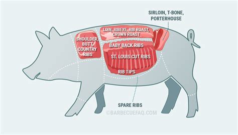 Types of Pork Ribs: The Differences Explained - Barbecue FAQ