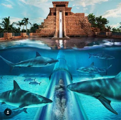 Orlando Florida | Atlantis bahamas, Bahamas family resorts, Atlantis resort bahamas