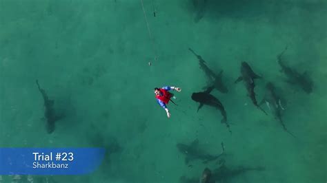 Sharkbanz Releases New Testing Data and Video Footage - Surfer