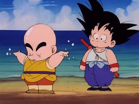 Kid Goku and Kid Krillin 02 by L-Dawg211 on DeviantArt