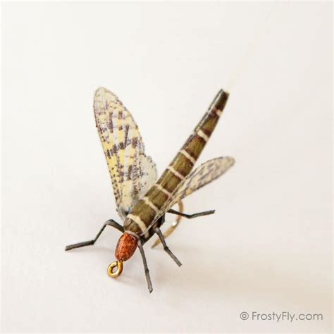 Flies MARCH BROWN MAYFLY DRY FLY FISHING FLIES 12 x SIZE #14 Sporting Goods