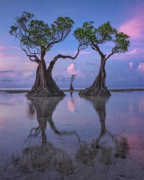 Walakiri Beach, one of the many beautiful beaches in East Sumba, Indonesia 🇮🇩 in 2021 | Nature ...