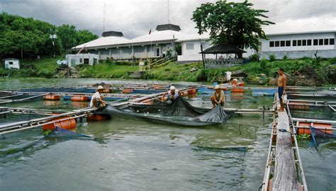 Binangonan Freshwater Station - SEAFDEC/AQD