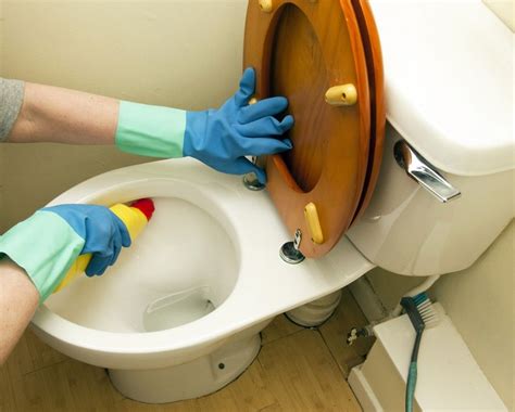 Praktische onderhoudstips: hoe het toilet schoonmaken? | Toiletten ...