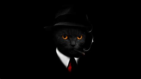 Black Cat Wallpaper 4K, Black background, Hat, Suit