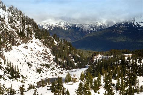 WanderingAway.com : Snowshoeing Artist Point at Mt. Baker