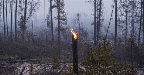 Wildfires and warming seas: 2023 is the year that has offered a grim ...