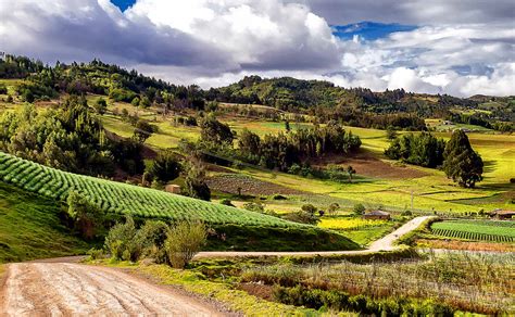 Actualidad La app que atrae a los turistas al campo colombiano ...