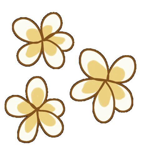 three yellow flowers with brown centers are shown on a white background ...