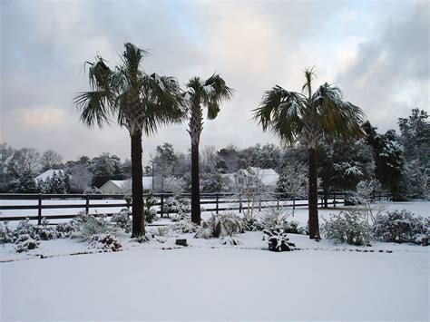 Does It Snow in South Carolina? - The Family Vacation Guide