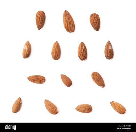 Set of multiple almond seed images Stock Photo - Alamy