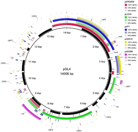 About Molecular Biology : Plazmid