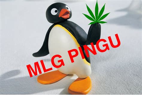 Pingu Wallpapers (65+ images)