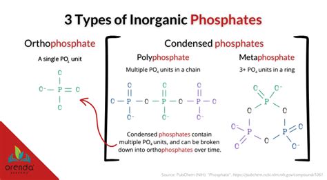 Different Types of Phosphates