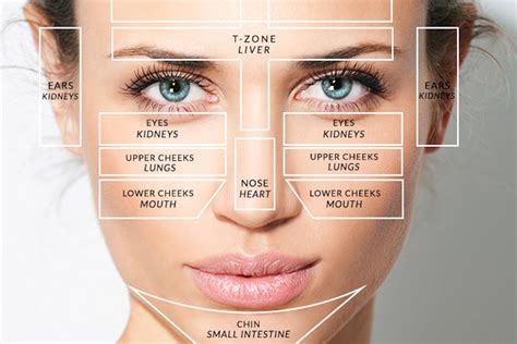 What the Acne Face Map Reveals About Your Overall Health – MŪN