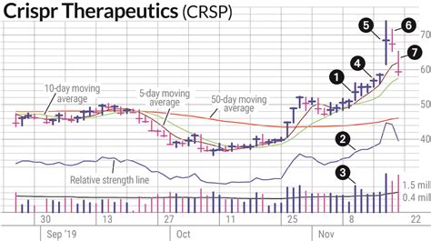 CRISPR Therapeutics Stock Surged; Was It A Sell? | Investor's Business ...