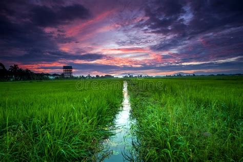 Scenery of Sunrise at Ipoh,Perak,Malaysia. Stock Photo - Image of green, scenery: 105253382