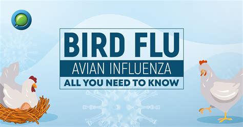 Bird Flu [Avian Influenza] – All you need to know