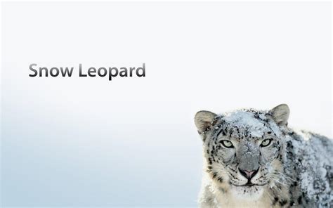 Mac OS X Snow Leopard Wallpapers HD - Wallpaper Cave