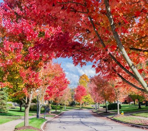 10 Best Places To See Fall Foliage In Ohio - Midwest Explored | Day ...