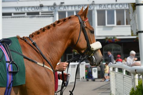 Catterick Racecourse Sport & Leisure in Catterick Bridge, Yorkshire