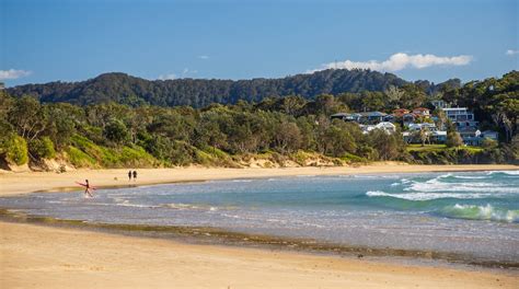 Coffs Harbour Travel Guide 2024: The Best of Coffs Harbour | Expedia