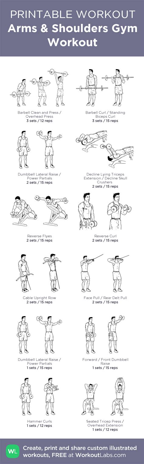 Custom PDF Workout Builder with Exercise Illustrations | Gym workouts, Workout, Arm workout