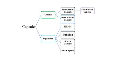 Different Types of Capsules – AIPAK