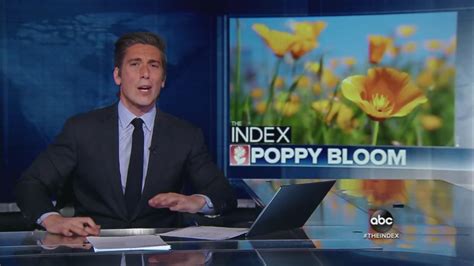 ABC's ‘World News Tonight’ Covers Superbloom, Ignores End of California Drought