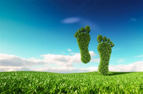 ways to reduce your carbon footprint - Get That Right