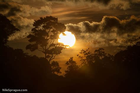 Photo: Sunset over Amazon jungle, near Iquitos, Peru | NileStyle.com