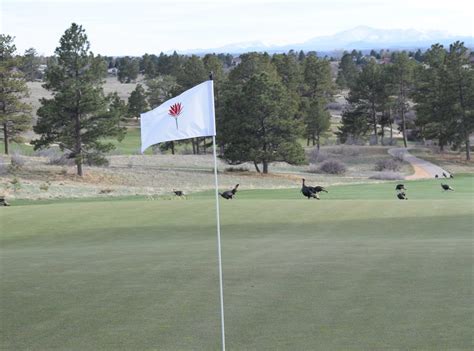 Major Changes - Colorado Golf Association