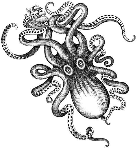 32+ Kraken Png Free Images – All in Here