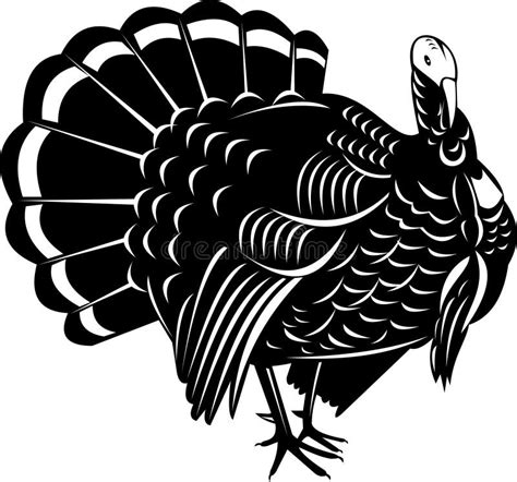 4+ Wild turkey vector Free Stock Photos - StockFreeImages