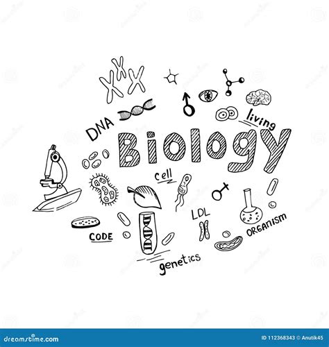 Biology Theme in Sketch Style, Hand Drawn Vector Illustration Stock ...