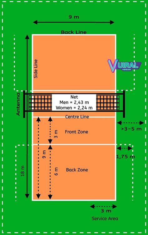 Gambar Dan Ukuran Lapangan Bola Voli Beserta Keterangannya - Vuiral