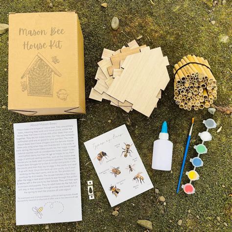 Mason Bee House Kit – Garden Streets