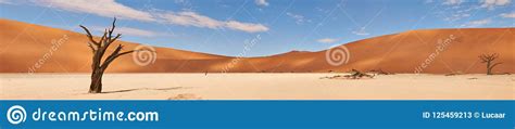 Namibian Desert Landscape, Overview with Union of Different Images Stock Image - Image of ...