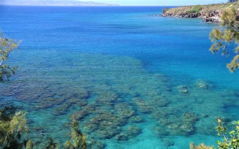 Honolua Bay: One of Maui's Best Snorkeling and Surfing Spots - Let's Go ...