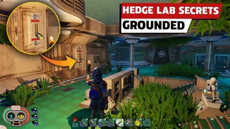 Grounded Hedge Lab | How To Enter Hedge Lab | Grounded Secrets - YouTube