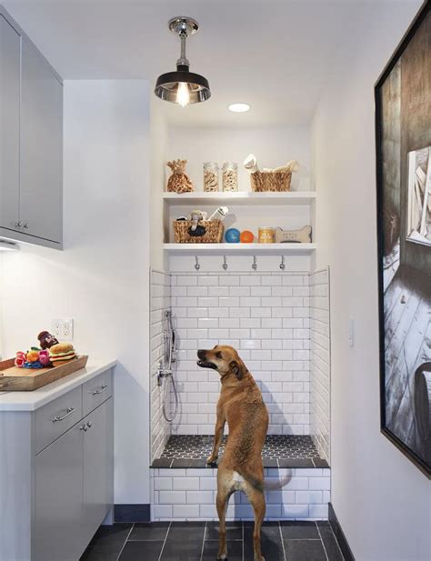 5 Benefits Of Having A Dog Wash Station In Your Home